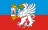 Флаг: Ленчинский повет